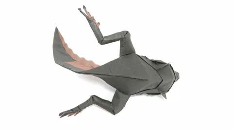 Tadpole v2