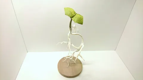 Weed