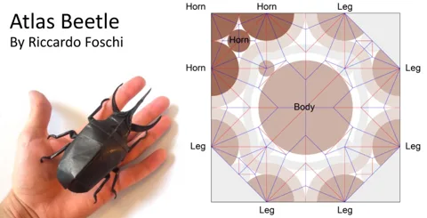Atlas Beetle