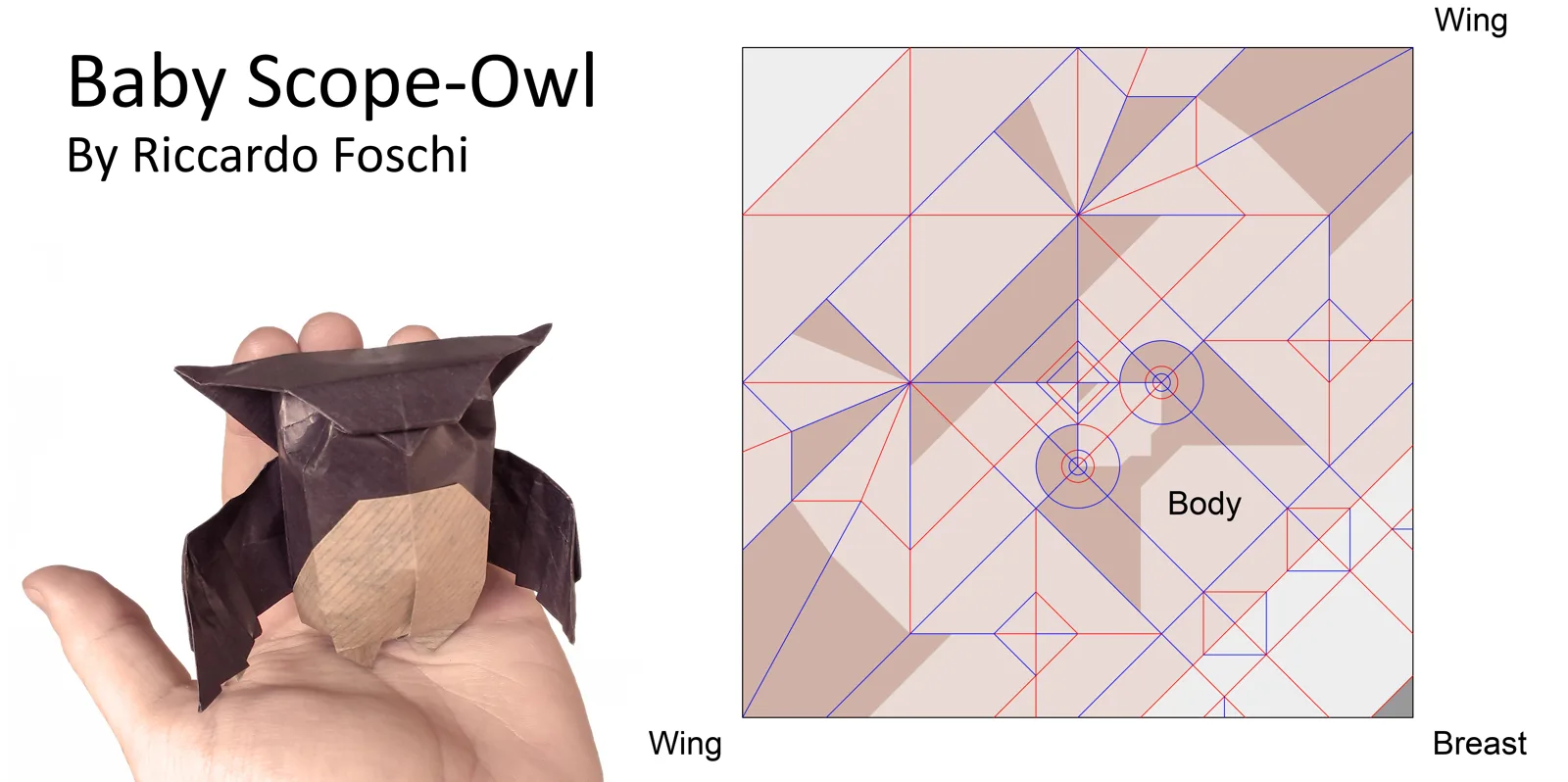 Baby Scope Owl