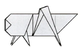 Grasshopper