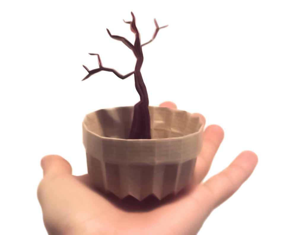 Bonsai