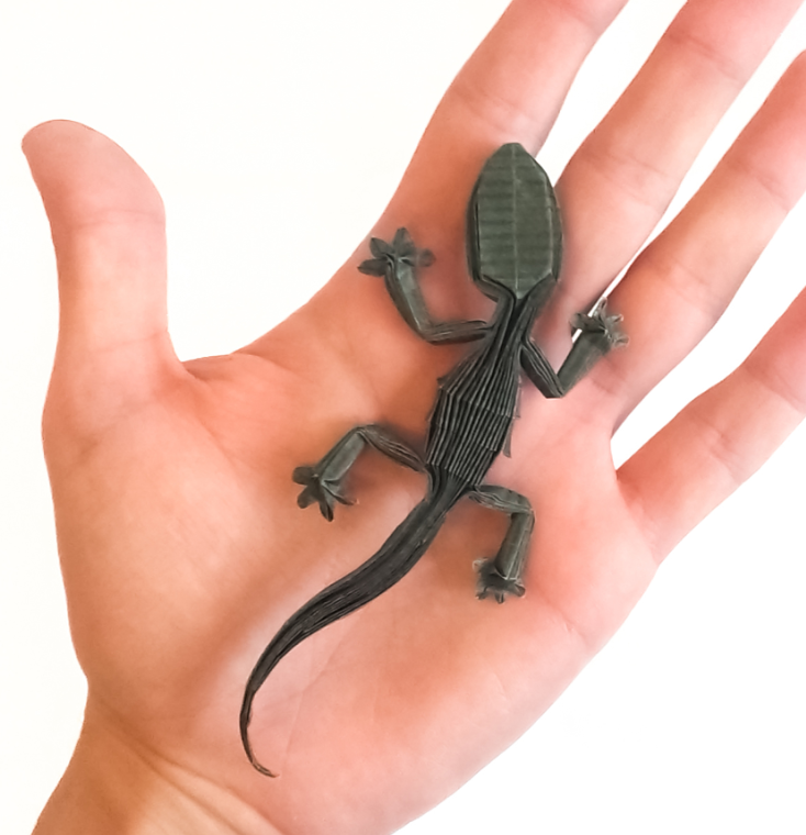 Gecko
