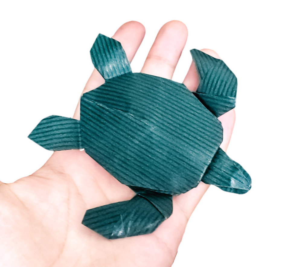 Sea Turtle