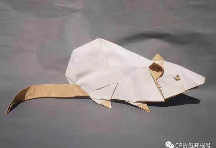 Rat-mouse (PD)