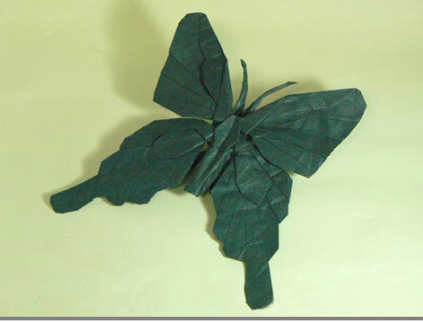 Butterfly TH