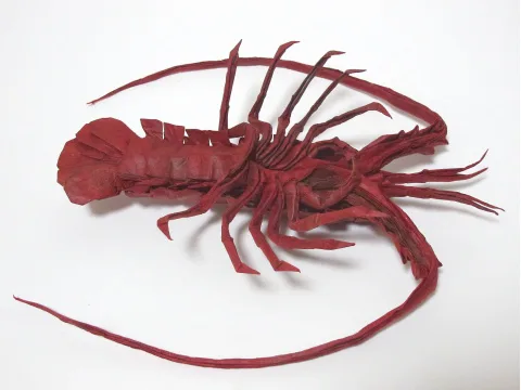 Japanese Spiny Lobster