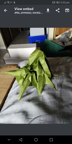 Octopus