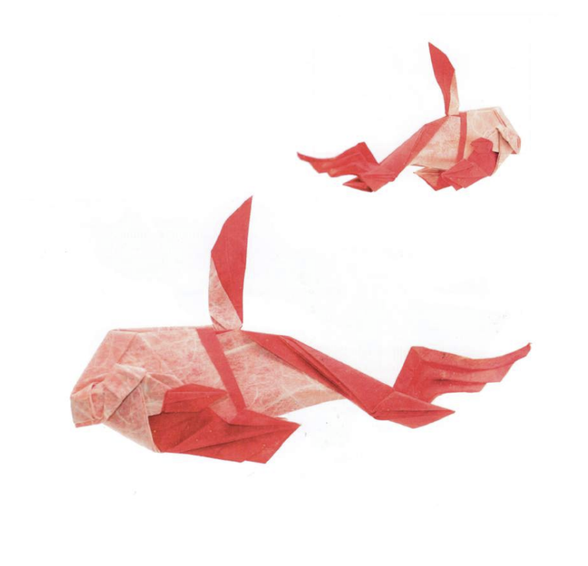 Sage fish