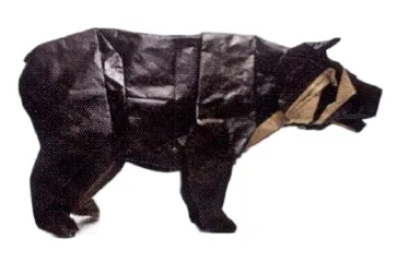 Spectacled bear