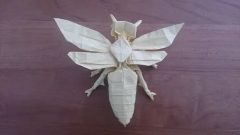 Wasp 2.6 (PD)