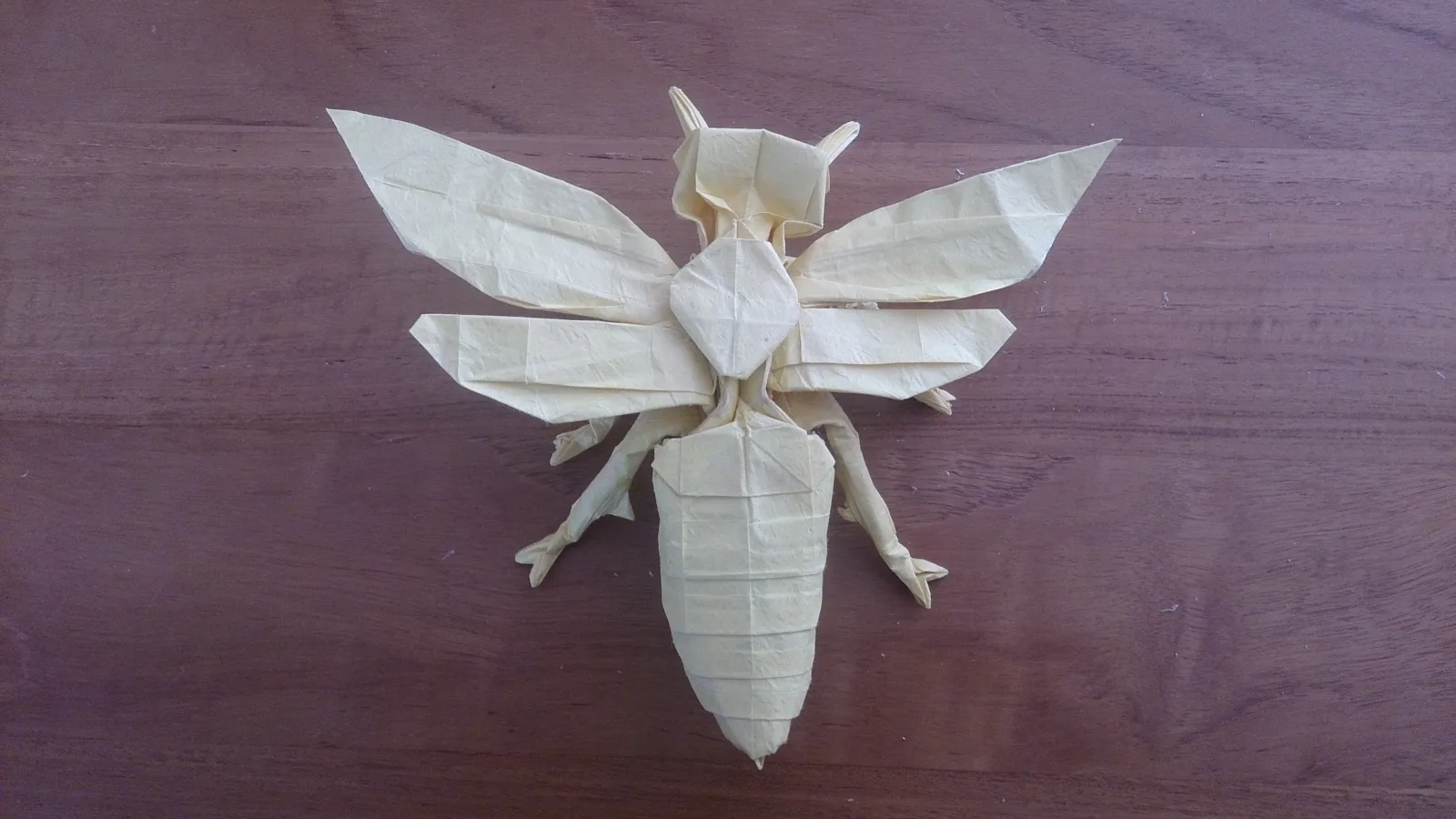 Wasp 2.6 (PD)