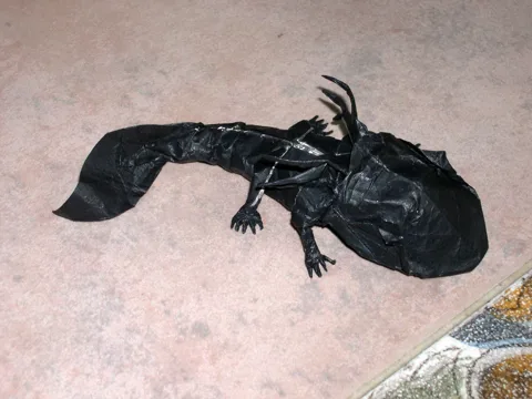 Axolotl