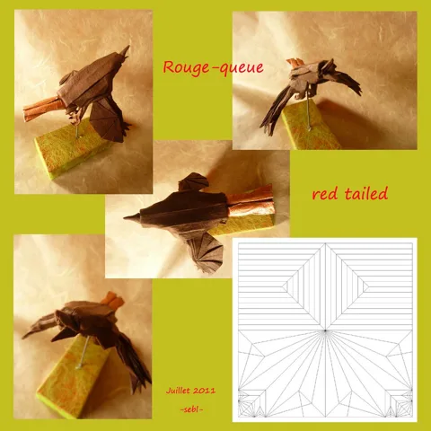 Red tailed birb