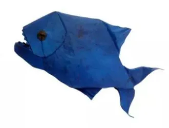 Piranha (PD)