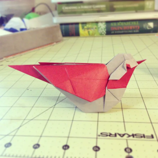 Bird