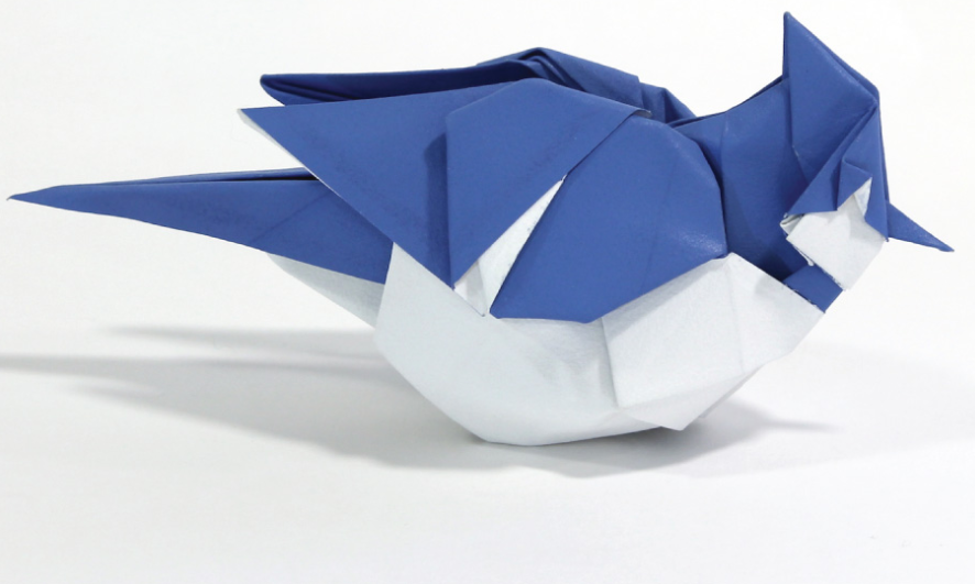 Blue Jay