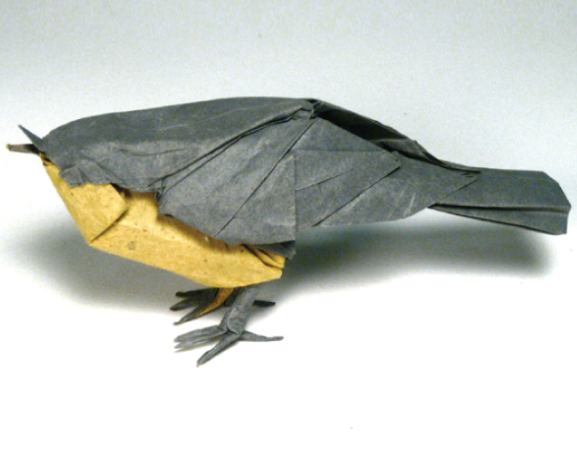 Canada Warbler