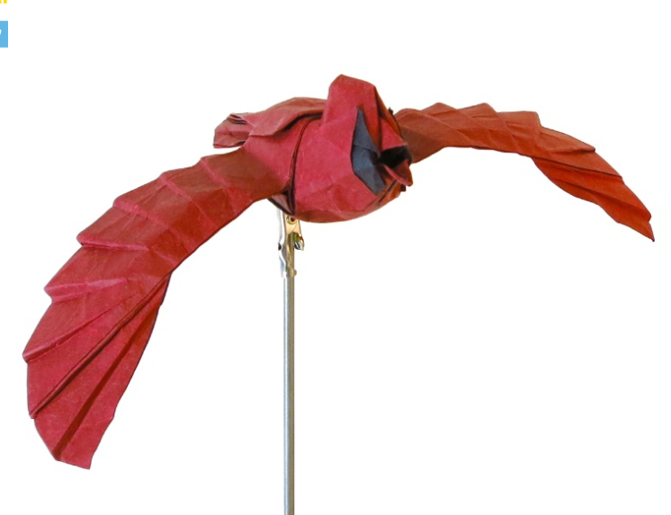 Cardinal