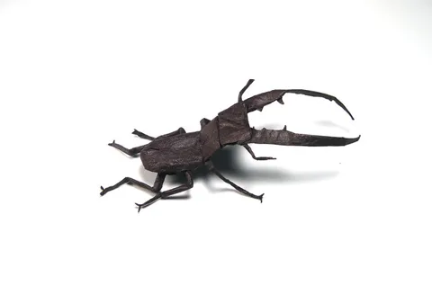 Cyclommatus Metalifer