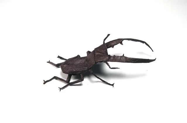 Cyclommatus Metalifer