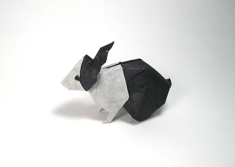 Dutch Rabbit