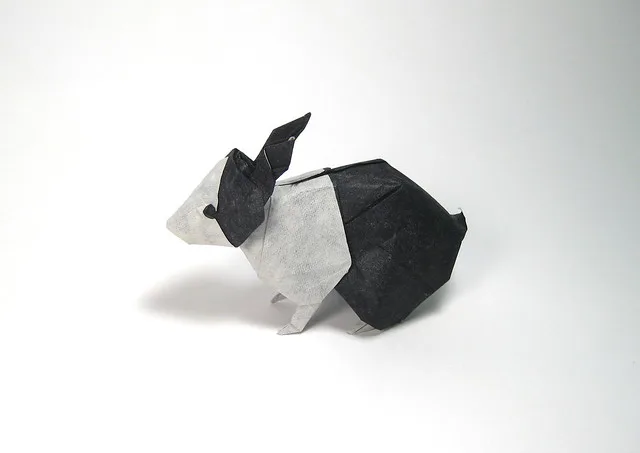 Dutch Rabbit