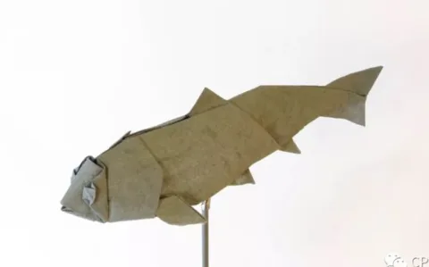 Fish (PD)