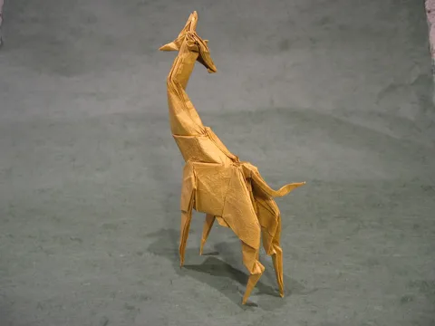 Giraffe