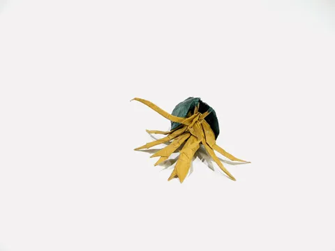 Hermit Crab