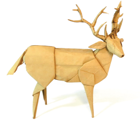 Mule deer