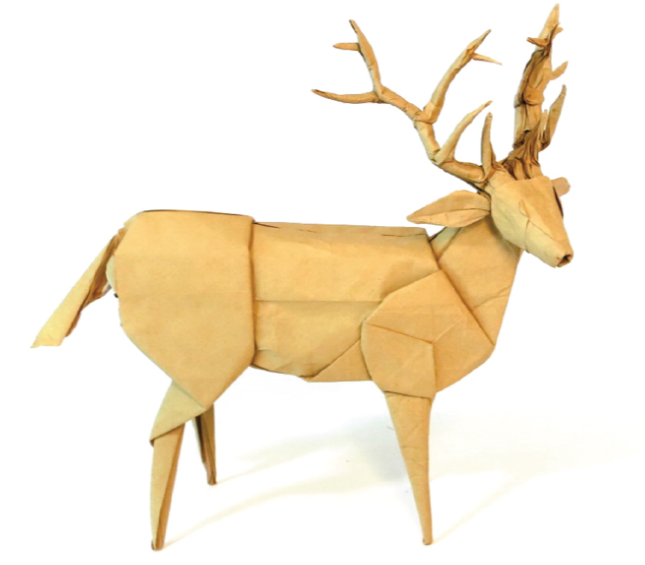 Mule deer