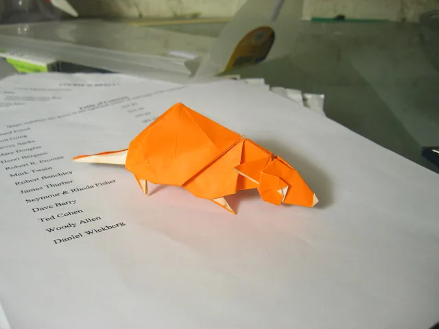 Rat