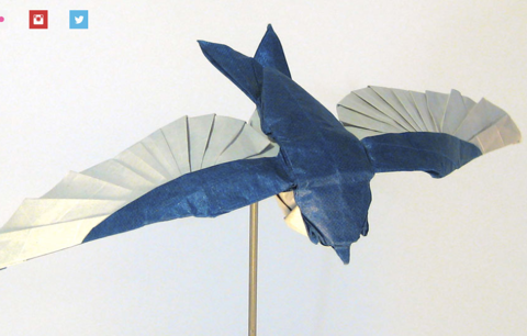 Tree Swallow