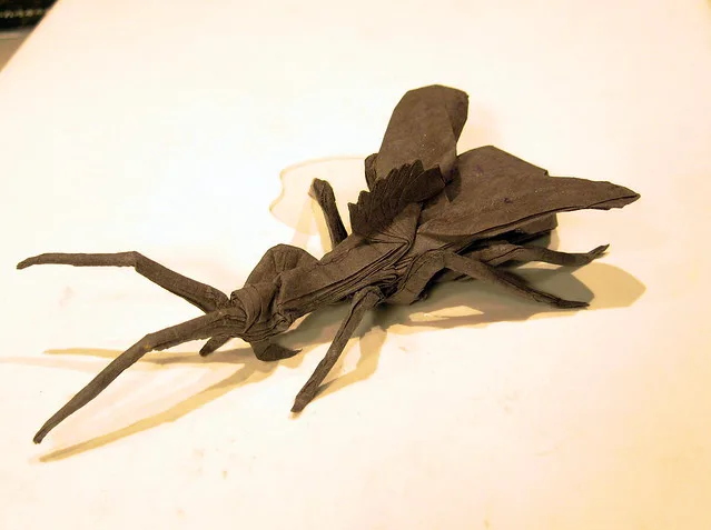 Wheel bug