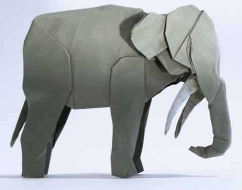 lil pp elephant