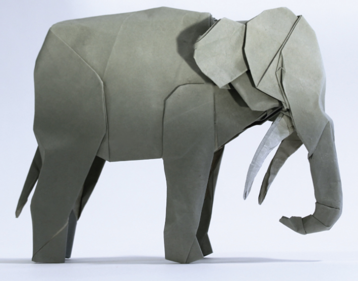 lil pp elephant