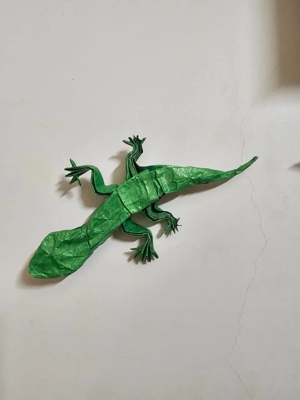 Lizard
