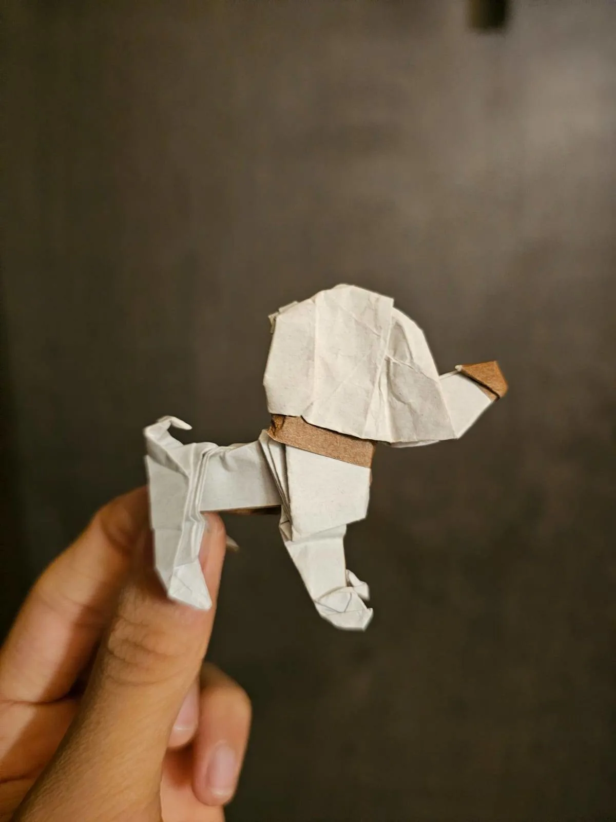 Standing Dog
