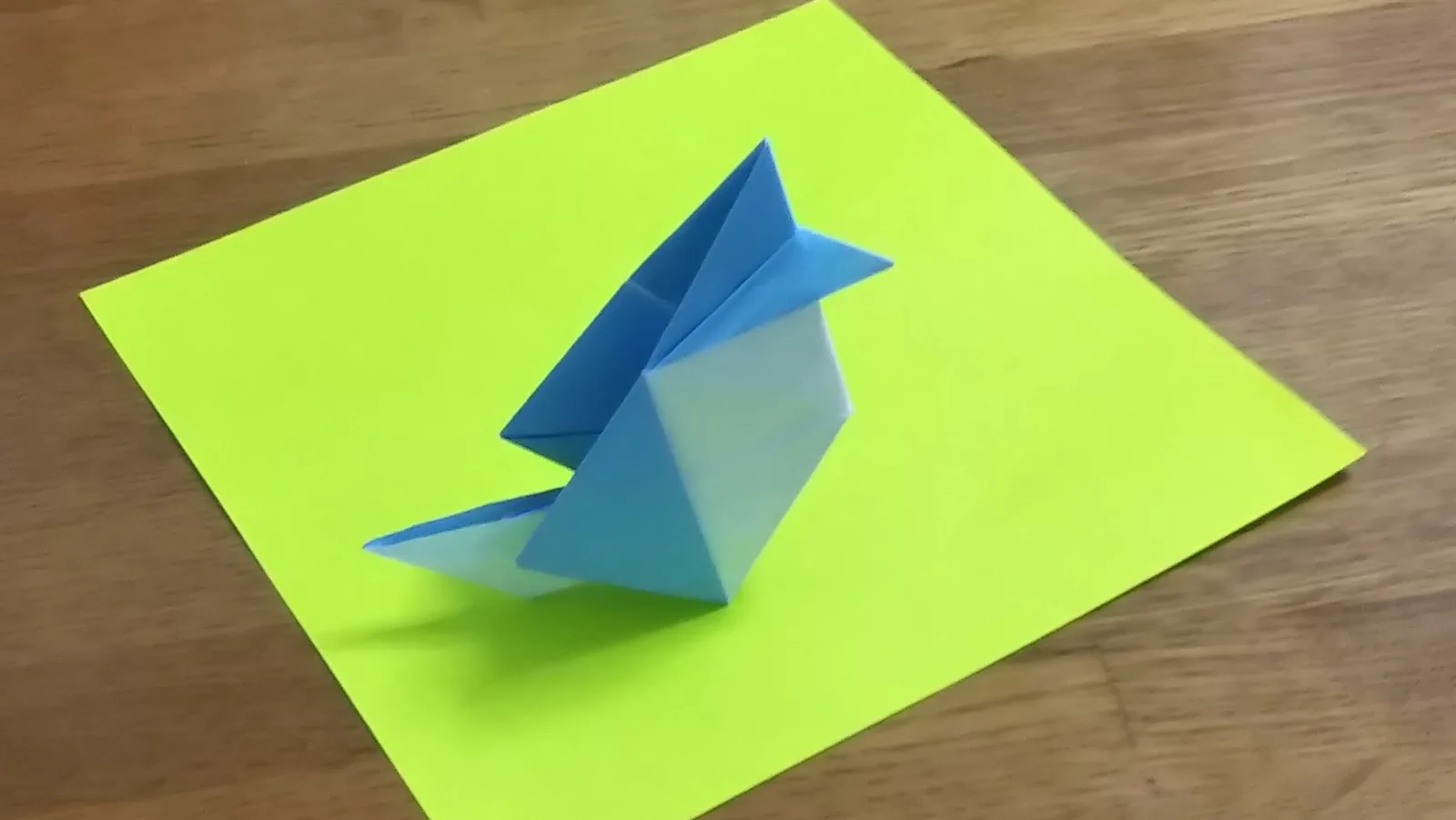 Bird