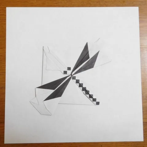 Dragonfly 2 (Flat 2D)