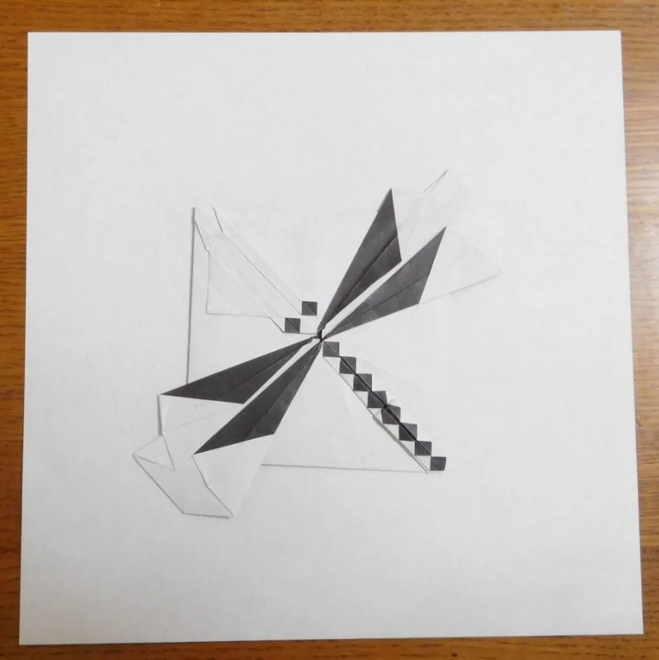 Dragonfly 2 (Flat 2D)