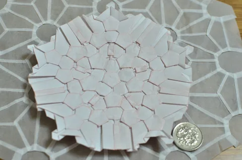 Sakura plain weave (Tess)