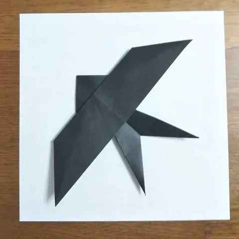 Swallow