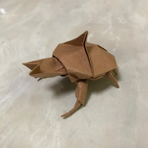 Beetle
