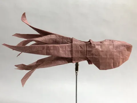 Octopus