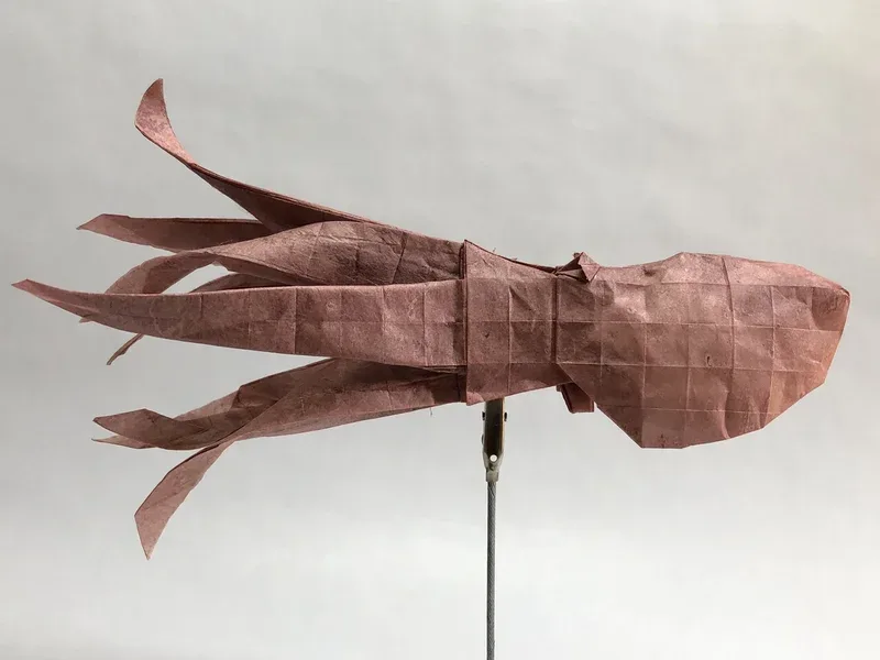 Octopus