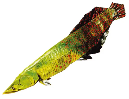 Arapaima