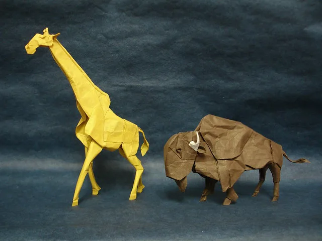 Giraffe 2014