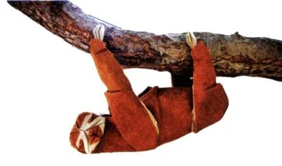 Sloth